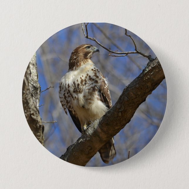 Majestic Hawk Knapp (Framsida)