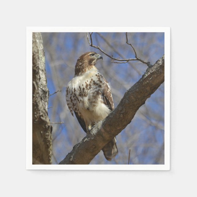 Majestic Hawk Pappersservett (Framsidan)