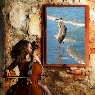 Majestic Heron Bird Ocean Vågar Florida USA Canvastryck