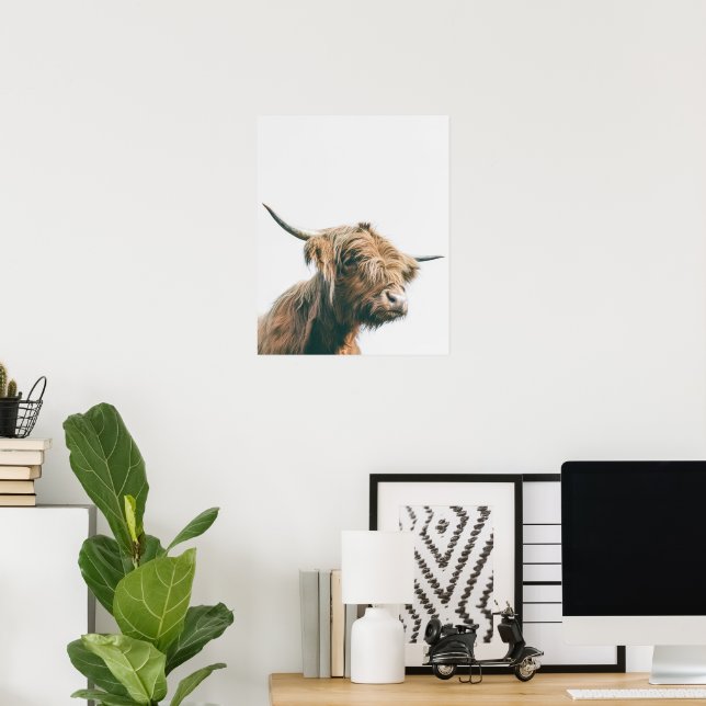 Majestic Highland kon porträtt Poster (Hemmakontoret)