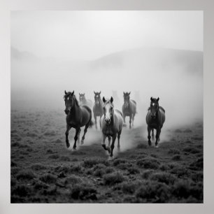 Majestic Horse Charcol Teckning - Grace och Streng Poster