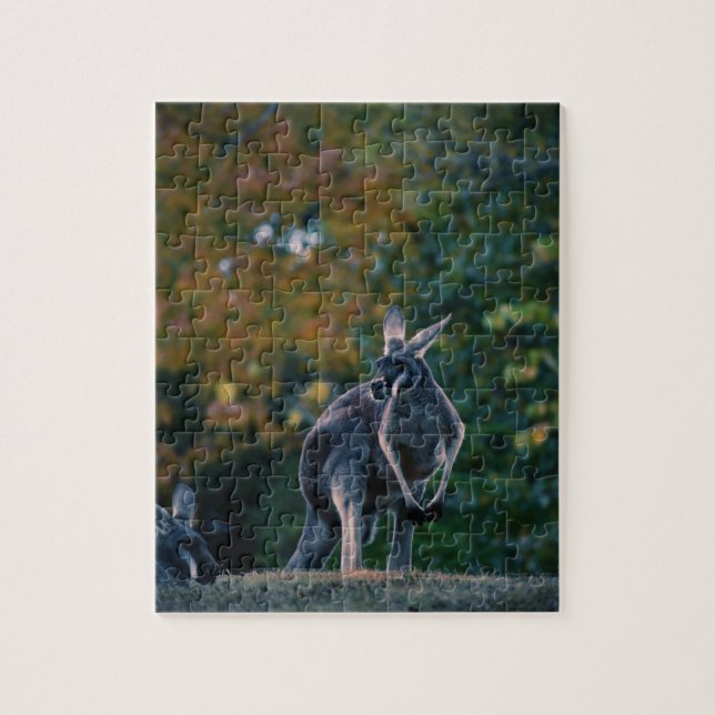 Majestic Kangaroo Pussel (Vertikal)