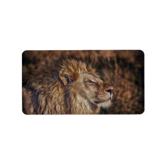 Majestic Lejon Adressetikett