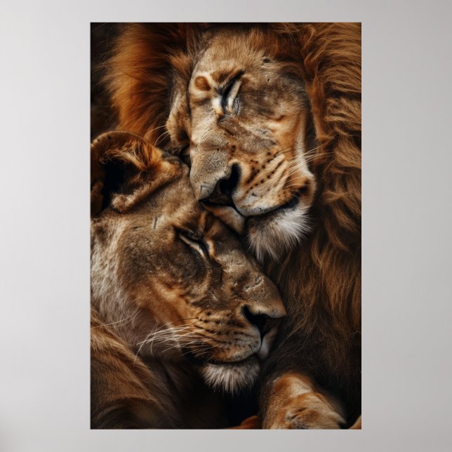 Majestic Lejon and Lioness Cuddling Photorealism S Poster (Framsidan)