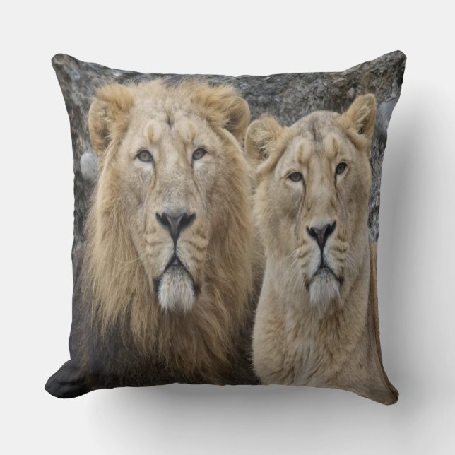 Majestic Lejon Couple Kudde (Framsida)