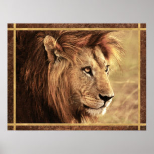 Majestic Lejonare Sideway Photo Poster