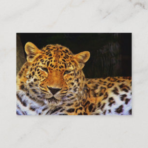 Majestic Leopard Affärskort Visitkort