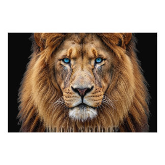 Majestic Lion Face with Blue Eyes | Wildlife Anima Fototryck