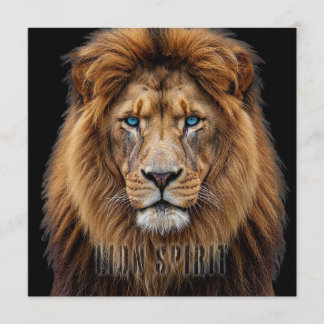 Majestic Lion Face with Blue Eyes | Wildlife Anima Program