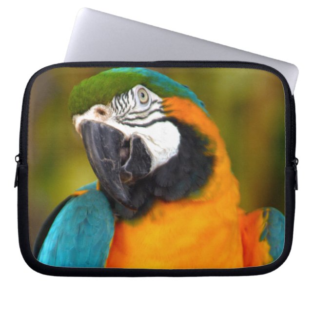 Majestic Macaw Laptop Sleeve (Framsidan)