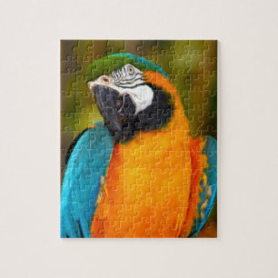 Majestic Macaw Pussel