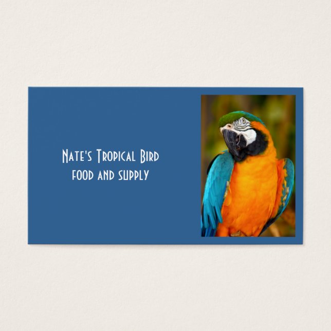 Majestic Macaw Visitkort (Framsidan)
