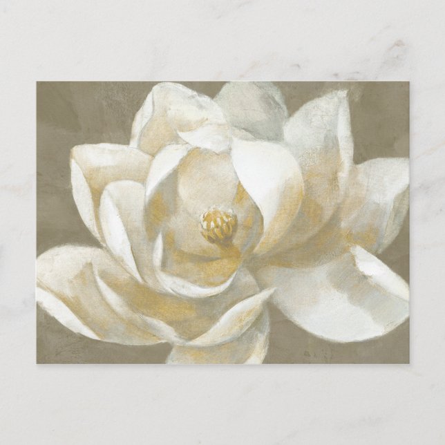Majestic Magnolia Vykort (Framsida)