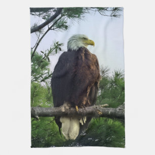 Majestic Mature Örn Perched i Träd Kökshandduk