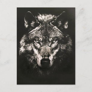 Majestic Monochrome Vild Varg Helg Vykort