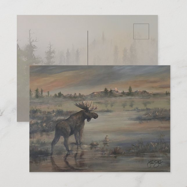 Majestic Moose Vykort (Fram/baksida)