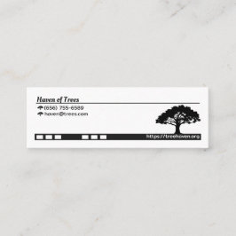 Majestic Oak: Testamente till tid och natur