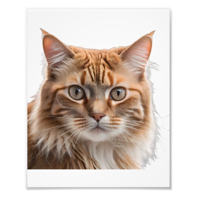 Majestic Orange Tabby Cat Portrait Fototryck (Framsidan)