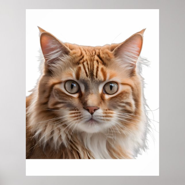 Majestic Orange Tabby Cat Portrait Poster (Framsidan)