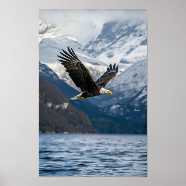 Majestic Örn som flyger lågt över Snowy Vatten Po Poster (Framsidan)