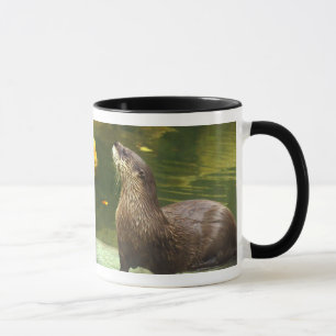 Majestic Otter Mugg