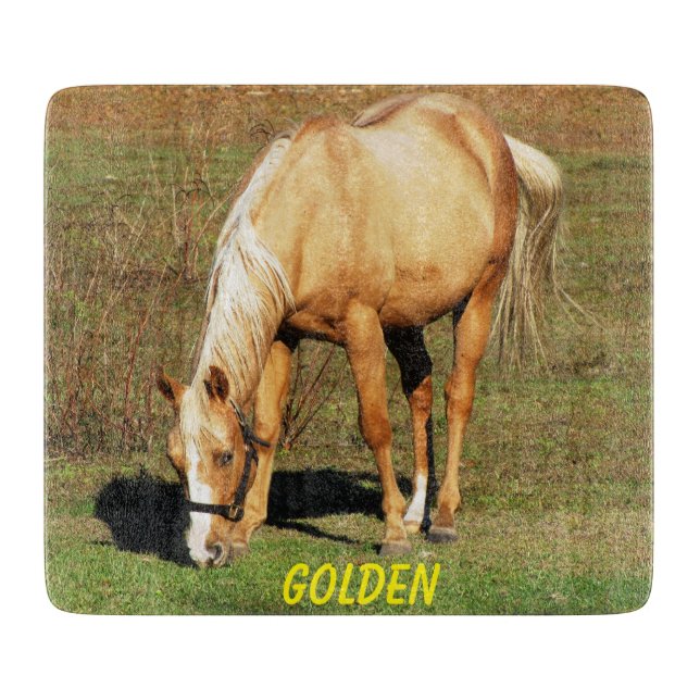 Majestic Palomino Horse - Fin Art Photography (Framsidan)