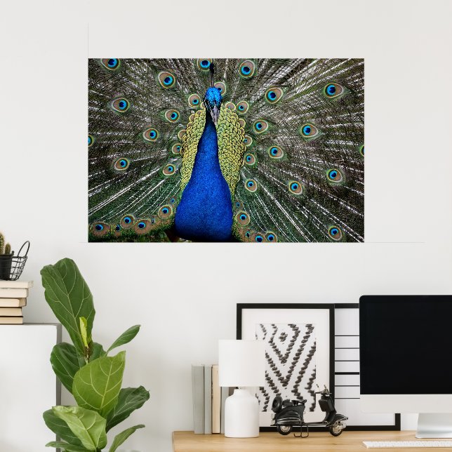 Majestic Peacock Poster (Hemmakontoret)