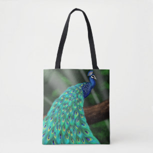 Majestic Plumage: Enchanting Peacock in the Forest Tygkasse