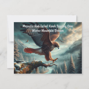 Majestic Red Tails Hawk Soaring Vykort