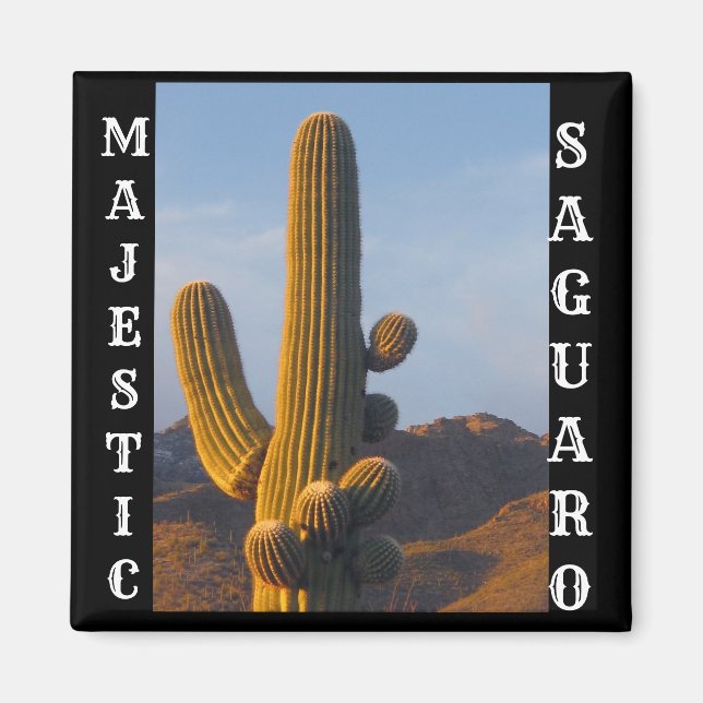 Majestic Saguaro Square Magnet (Framsidan)