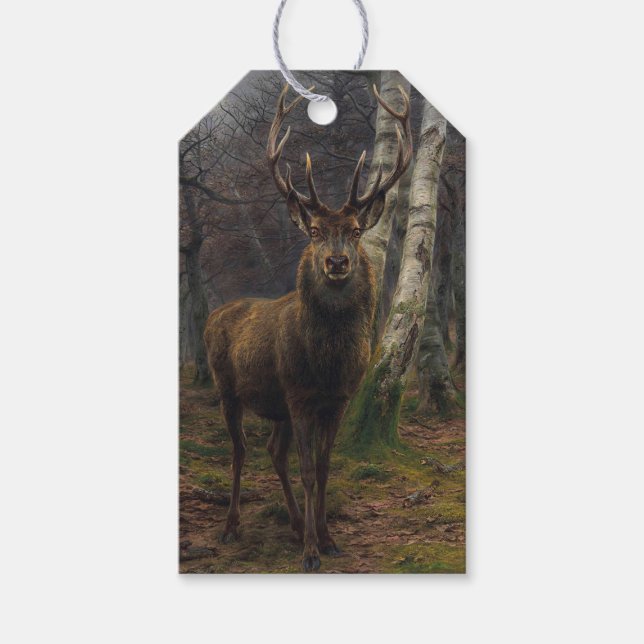 Majestic Stag, Kung i skogen Presentetikett (Framsidan)