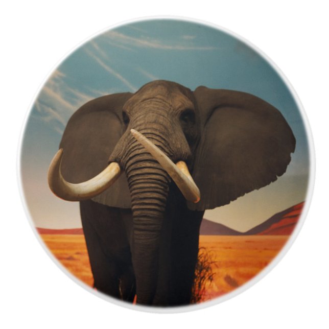 Majestic Stature Knopp (Framsidan)