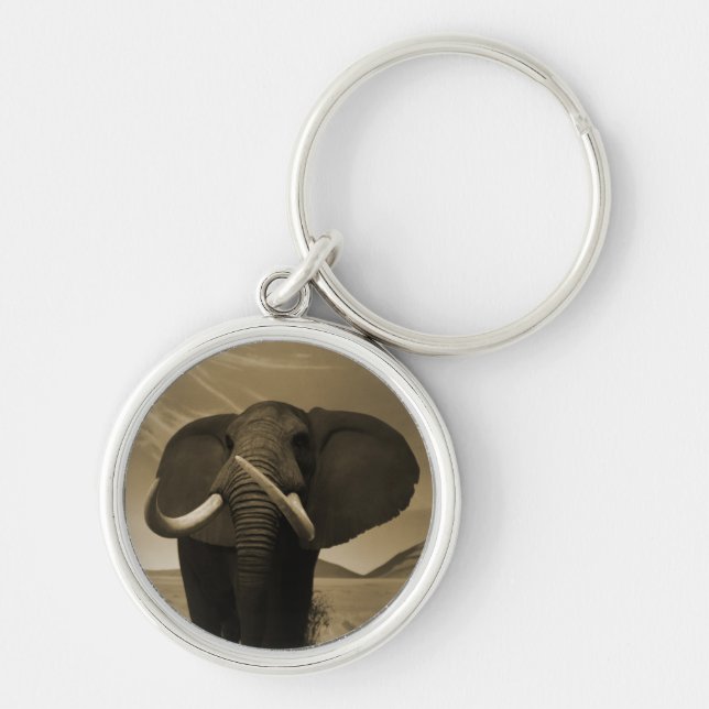 Majestic Stature Rund Silverfärgad Nyckelring (Framsidan)