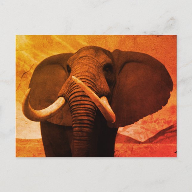 Majestic Stature Vykort (Framsida)