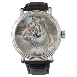 Majestic Tiger Armbandsur