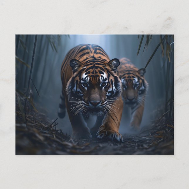 Majestic Tigers in a Foggy Jungle Vykort (Framsida)
