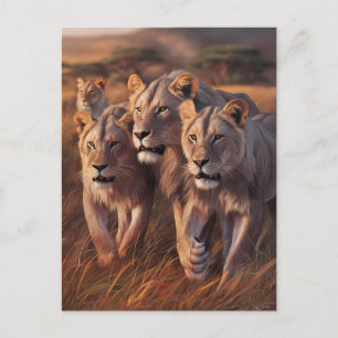 Majestic Trio Roaming through Tall Grass Vykort