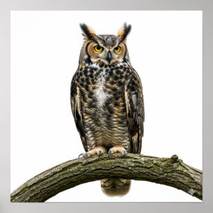 Majestic Underbar Horned Uggla Poster