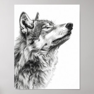 Majestic Varg Staring vid Himmel Sketch Poster