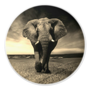 Majestic Vild Bull Elephant i Sepia Knopp