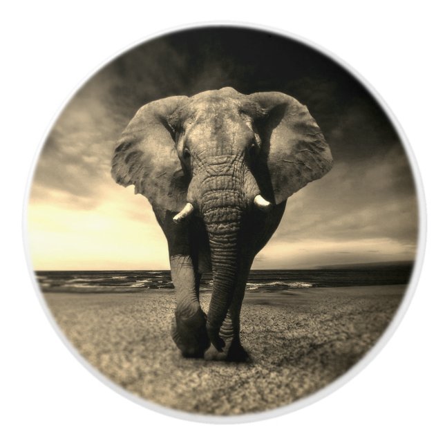 Majestic Vild Bull Elephant i Sepia Knopp (Framsidan)