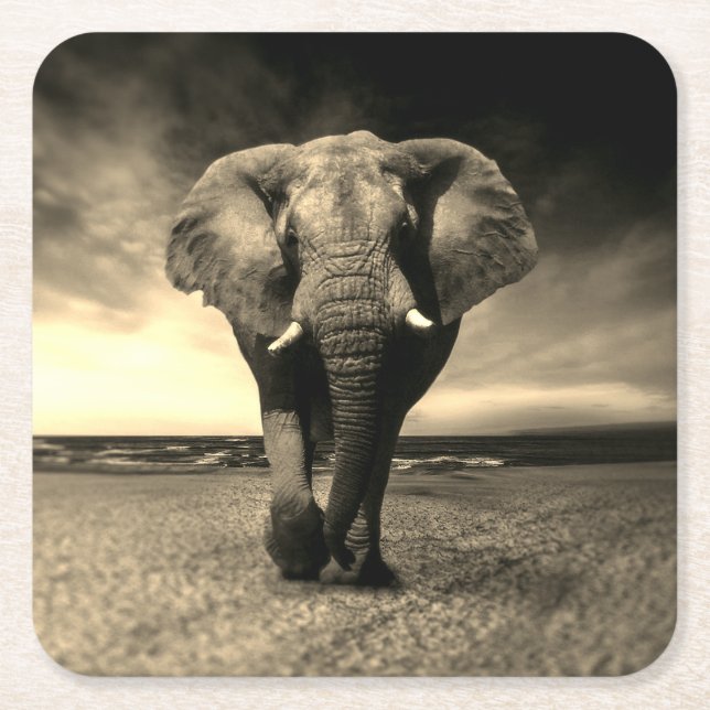 Majestic Vild Bull Elephant i Sepia Underlägg Papper Kvadrat (Framsidan)