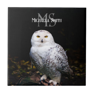 Majestic vintersnöwiwy uggla monogram, eget namn kakelplatta