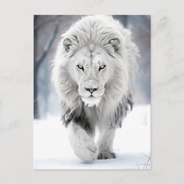 Majestic White Lejon i Winter Wonderland Design Vykort (Framsida)