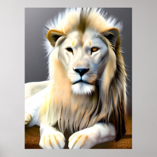 Majestic White Lejon med olika Färgad Ögon Poster