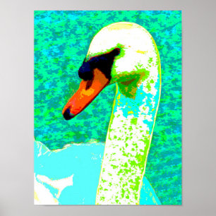 Majestic White Svan Head Poster