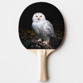 Majestic winter snowy owl pingisracket