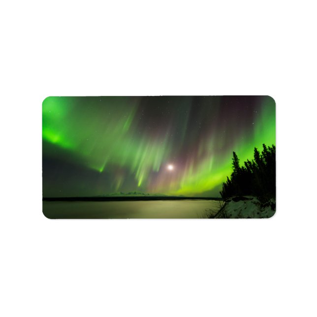 Majestisk Aurora Adressetikett (Framsidan)