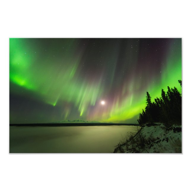 Majestisk Aurora Fototryck (Framsidan)