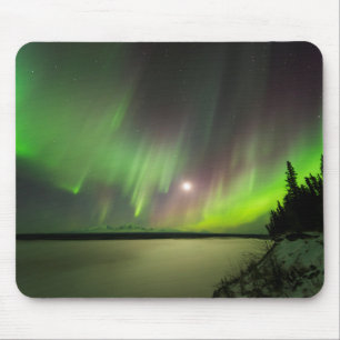 Majestisk Aurora Musmatta